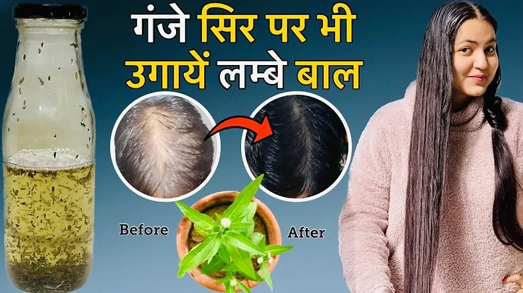 Read more about the article How To Prepare Bhringraj Oil At Home?