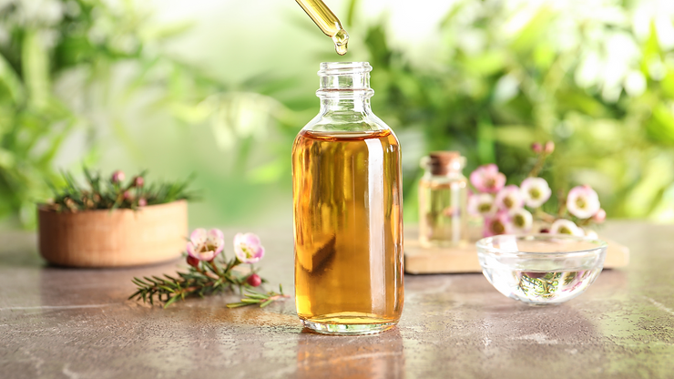 Read more about the article What Are The Benefits Of Tea Tree Oil For Hair And Skin?