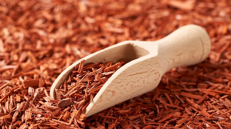 You are currently viewing Sandalwood For Skin And Health: The Complete Guide By Preity Prerna