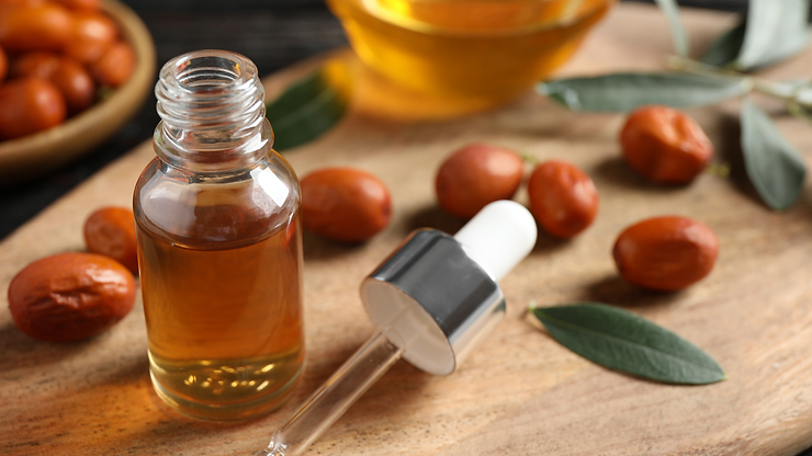 Read more about the article Jojoba Oil For Skin And Hair: The Complete Guide By Preity Prerna