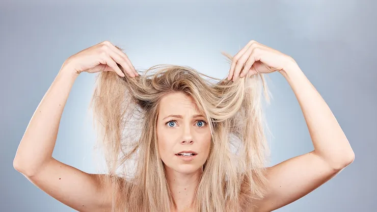 You are currently viewing How Can You Transform Your Dry Damaged Hair?