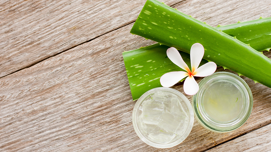 Read more about the article Aloe Vera For Skin, Hair and Health: The Complete Guide By Preity Prerna